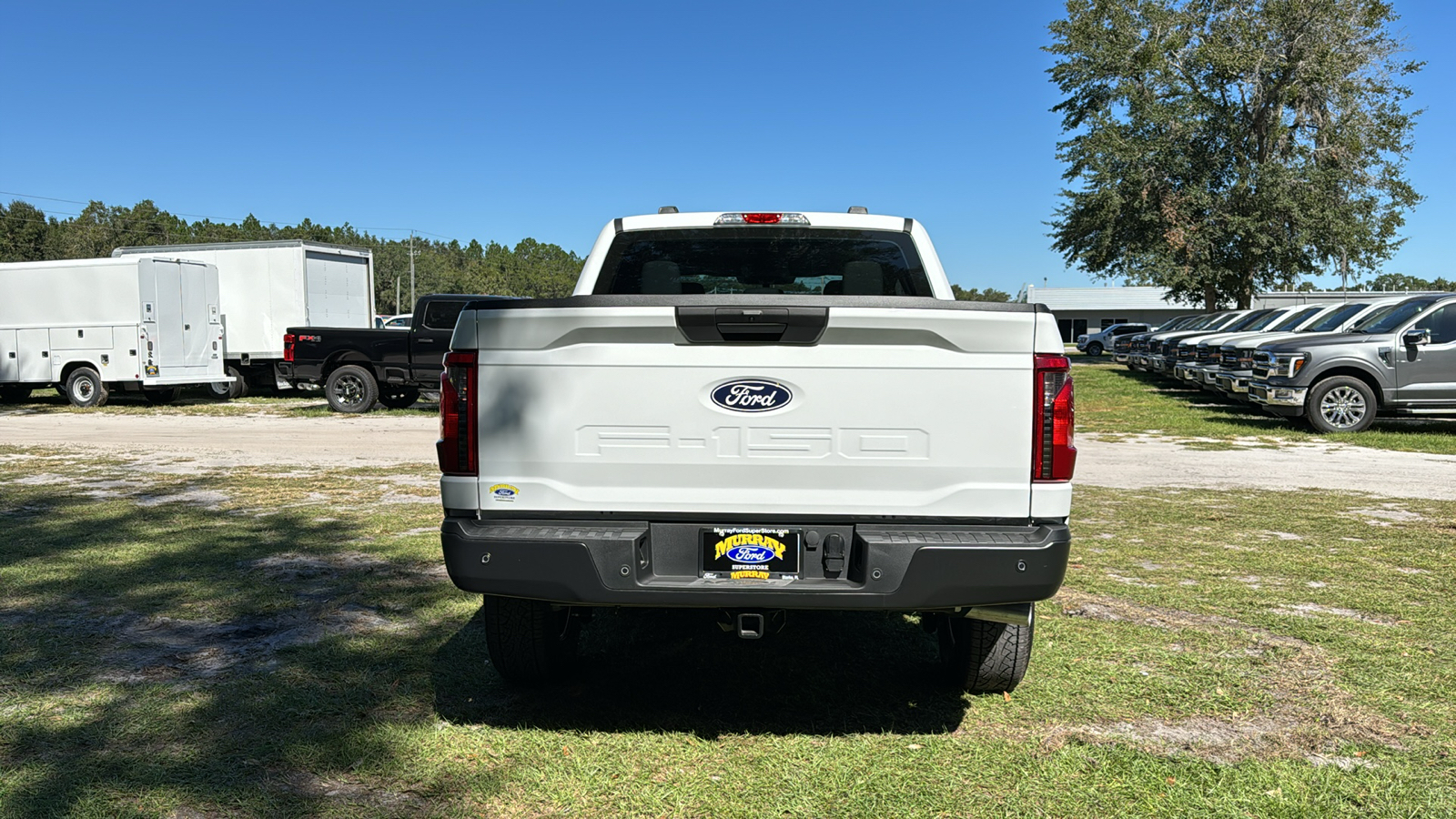 2024 Ford F-150 XL 5