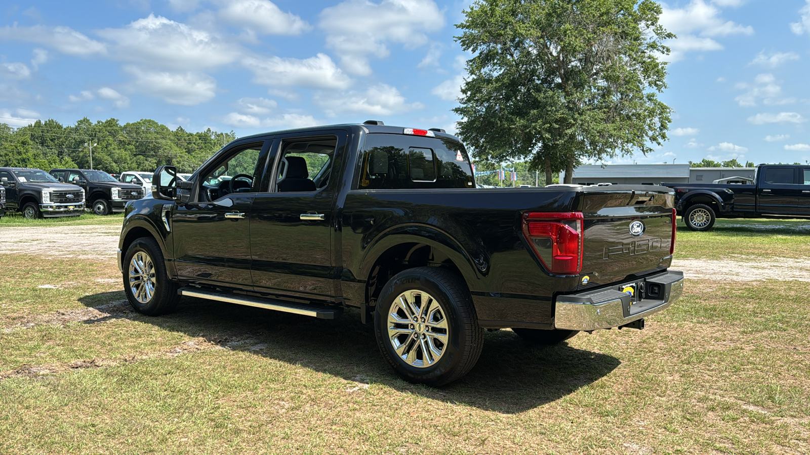 2024 Ford F-150 XLT 4