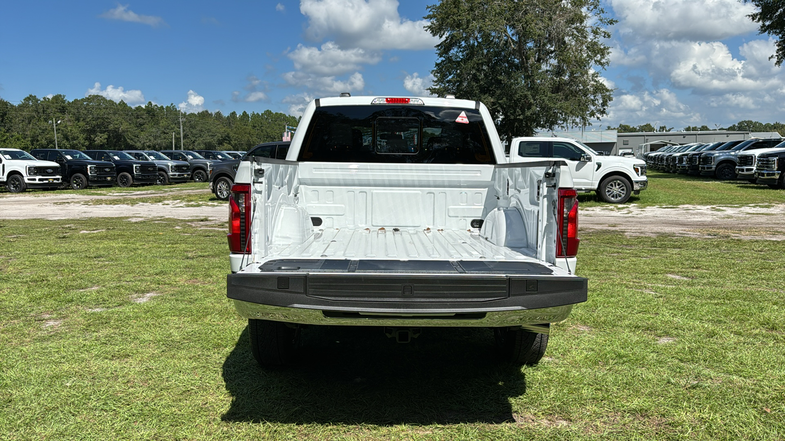 2024 Ford F-150 XLT 6