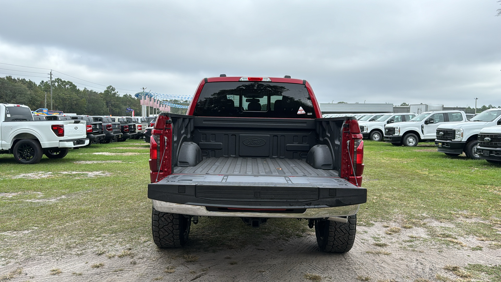 2024 Ford F-150 XLT 6