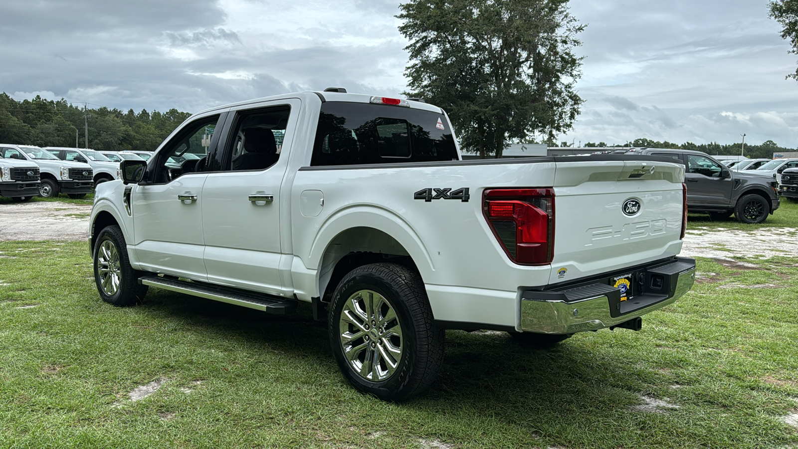 2024 Ford F-150 XLT 4