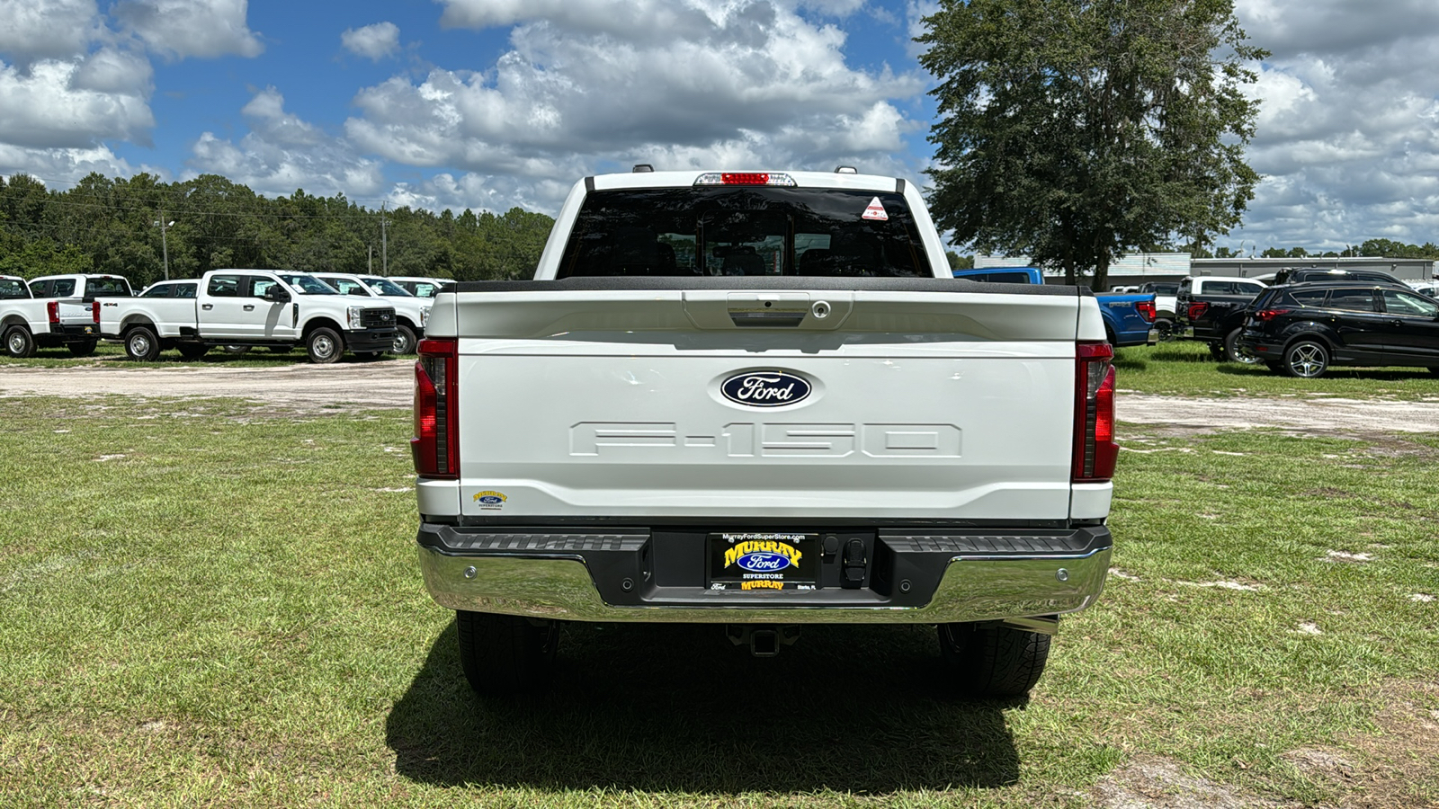 2024 Ford F-150 XLT 5