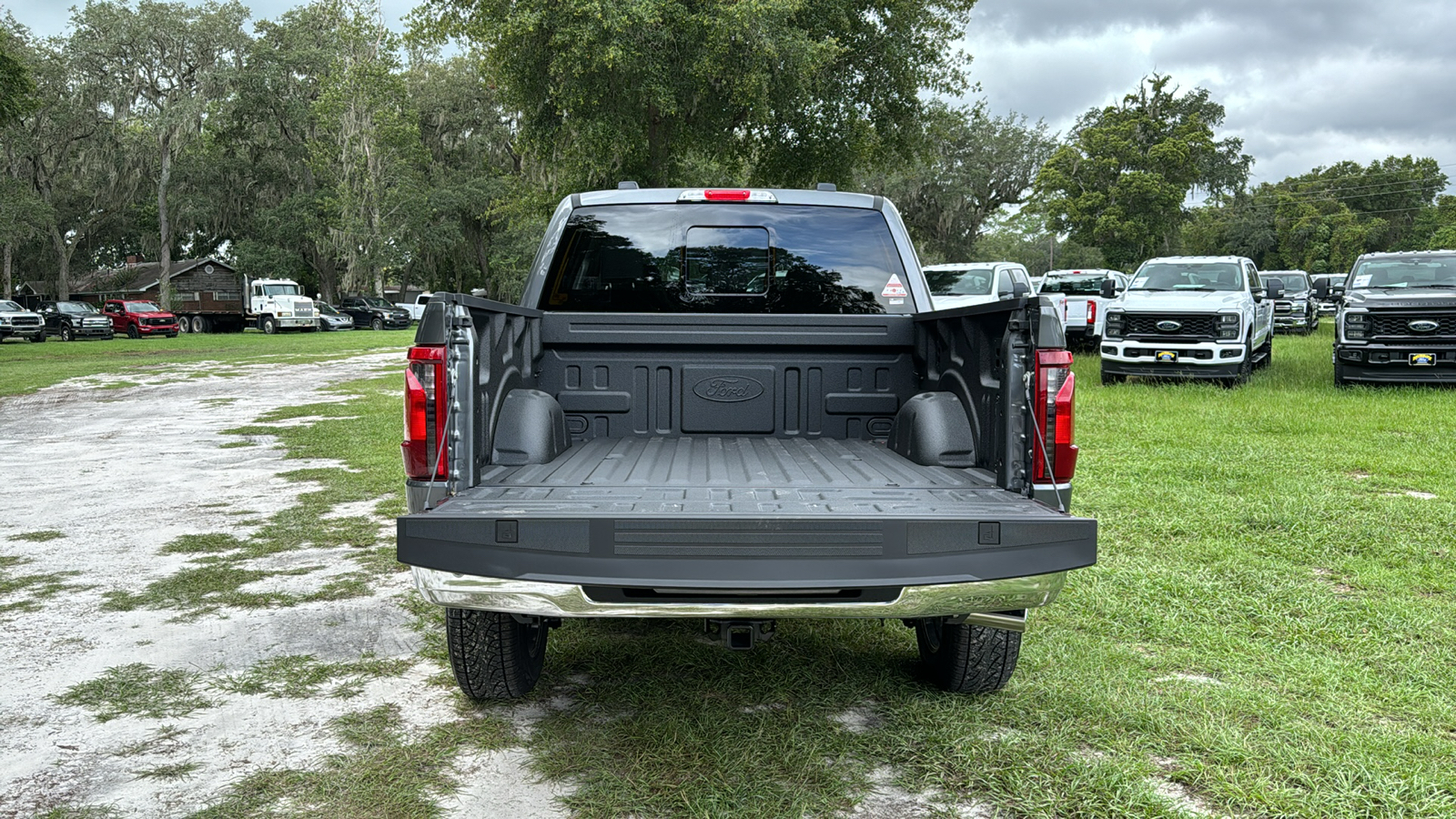 2024 Ford F-150 XLT 6