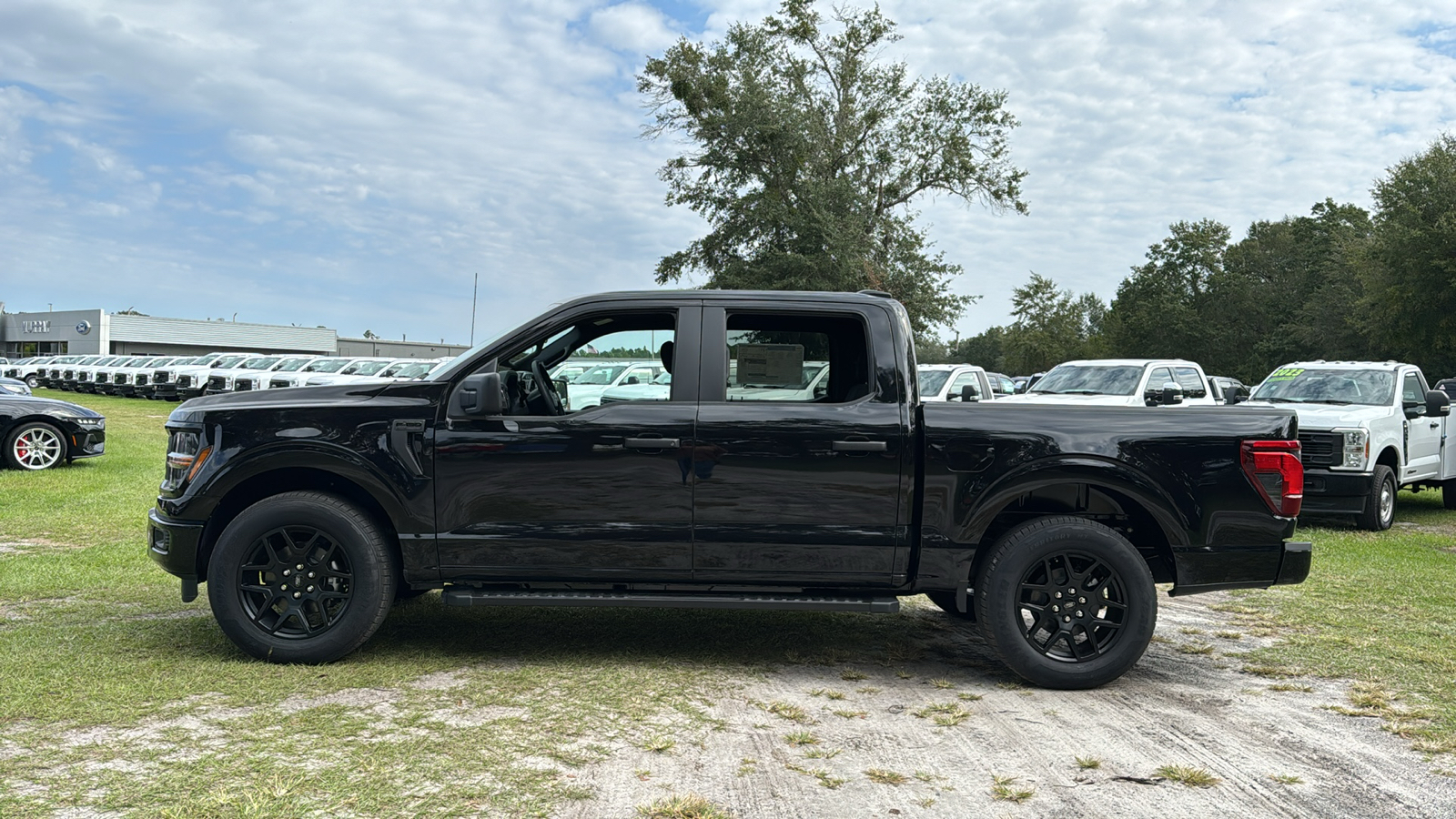 2024 Ford F-150 STX 3