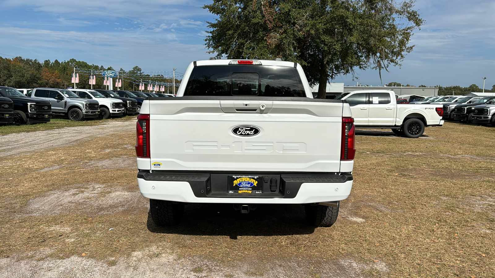 2024 Ford F-150 XLT 5