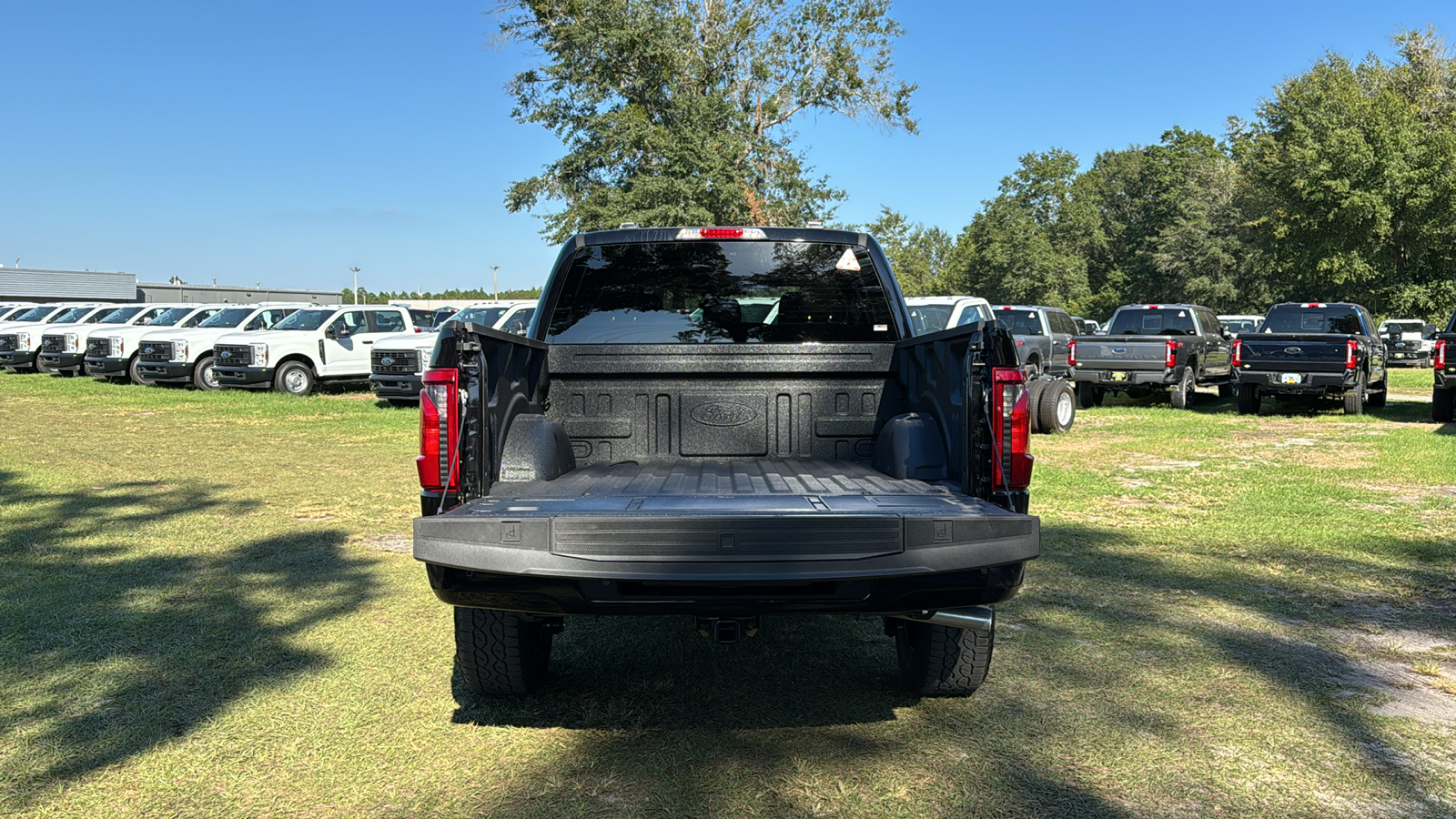 2024 Ford F-150 XLT 6