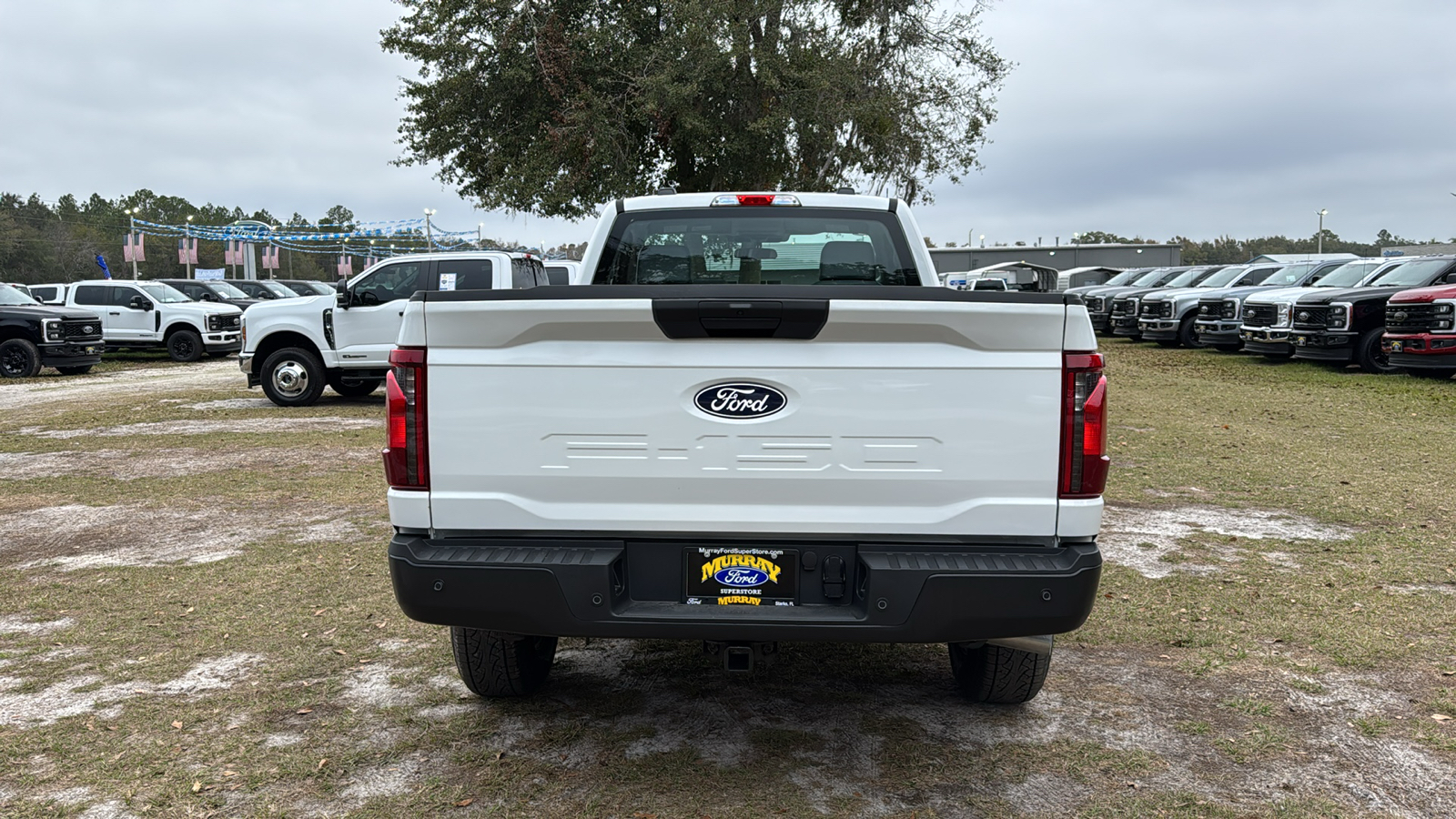 2024 Ford F-150 XL 5