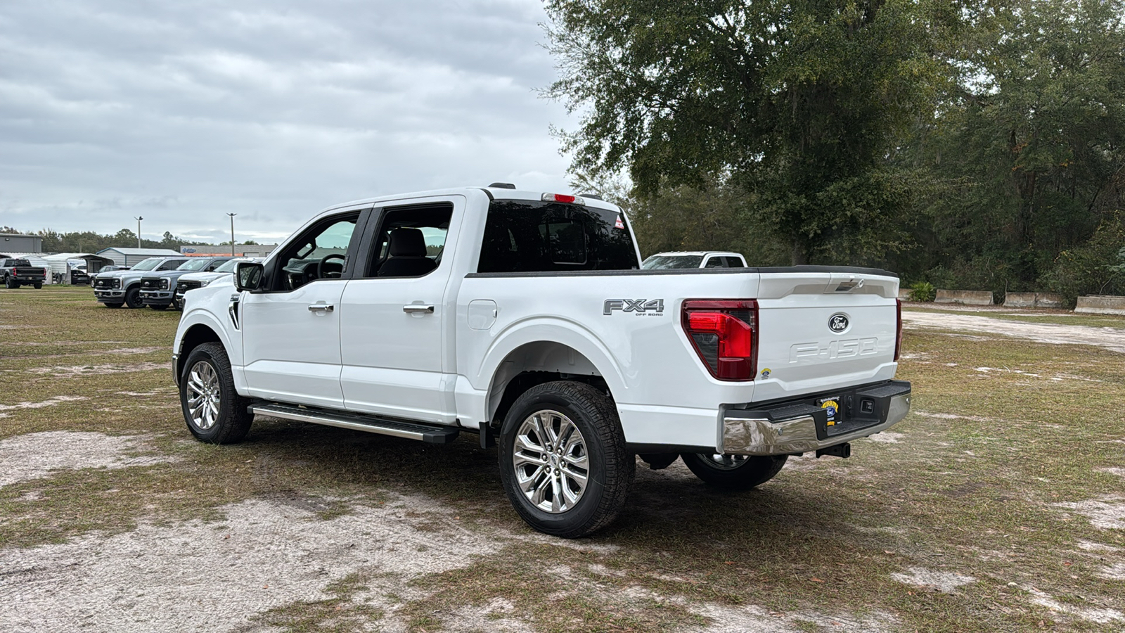 2024 Ford F-150 XLT 4