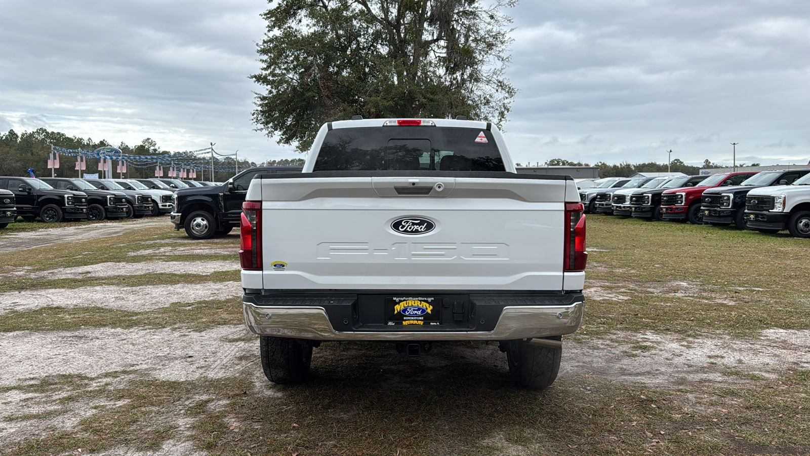 2024 Ford F-150 XLT 5