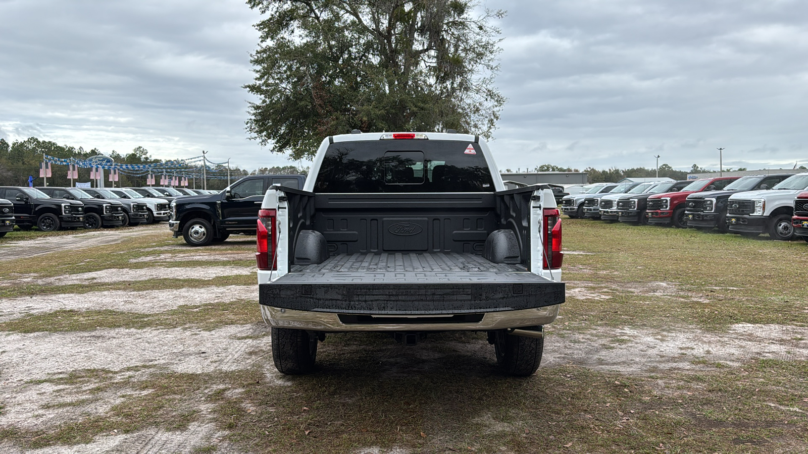 2024 Ford F-150 XLT 6