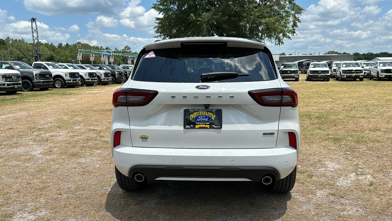 2024 Ford Escape ST-Line Elite 5