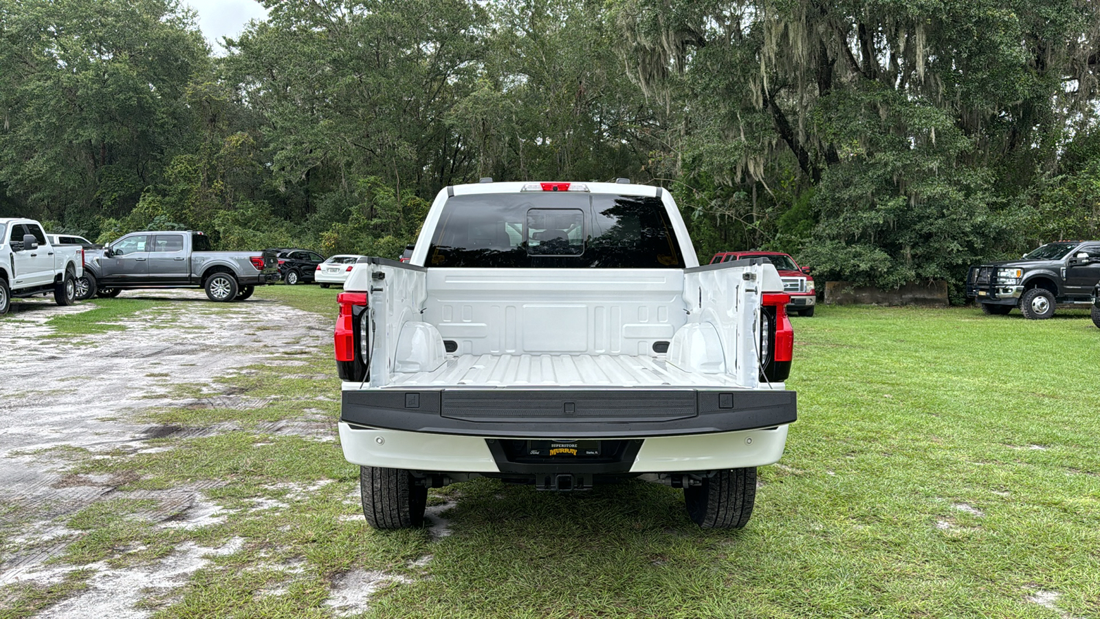 2024 Ford F-150 Lightning Platinum 6