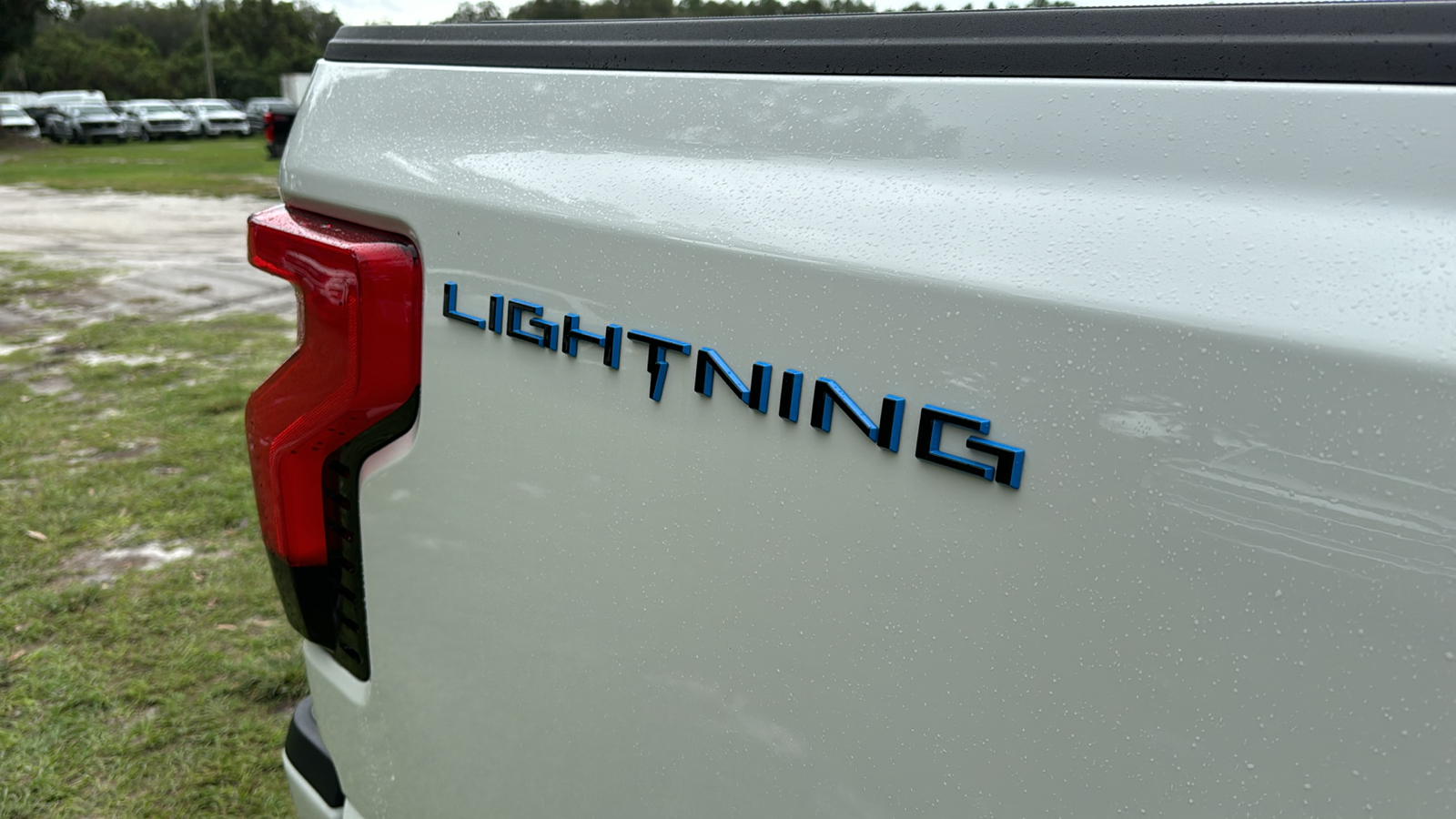 2024 Ford F-150 Lightning Platinum 8