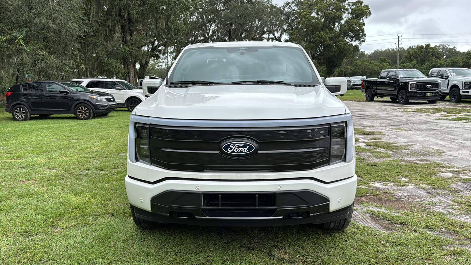 2024 Ford F-150 Lightning Platinum 13