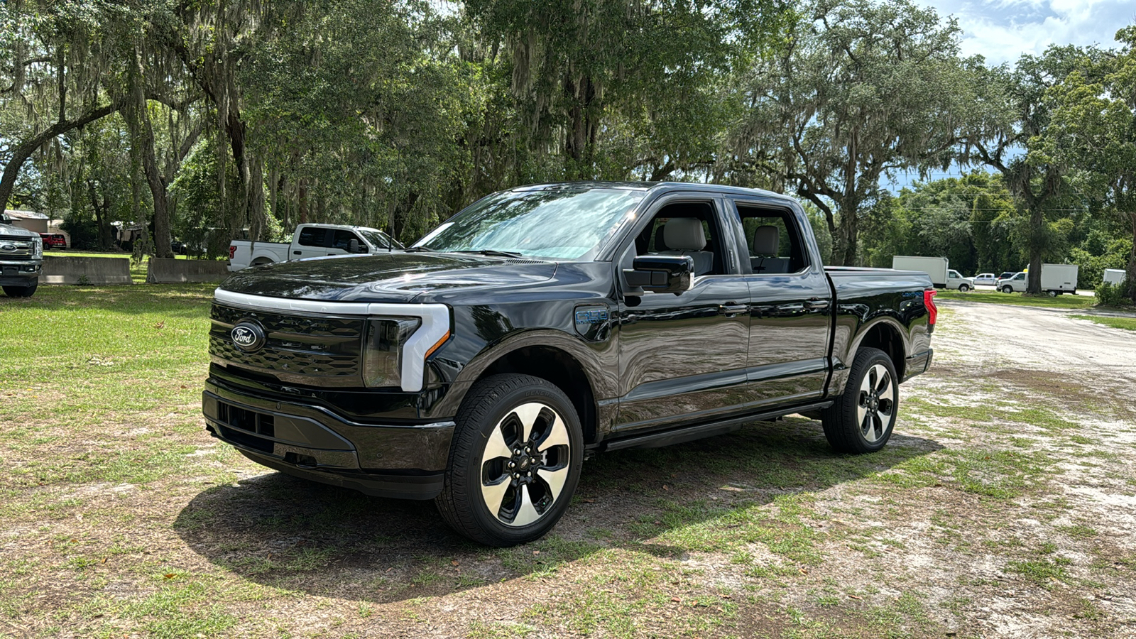 2024 Ford F-150 Lightning Platinum 2