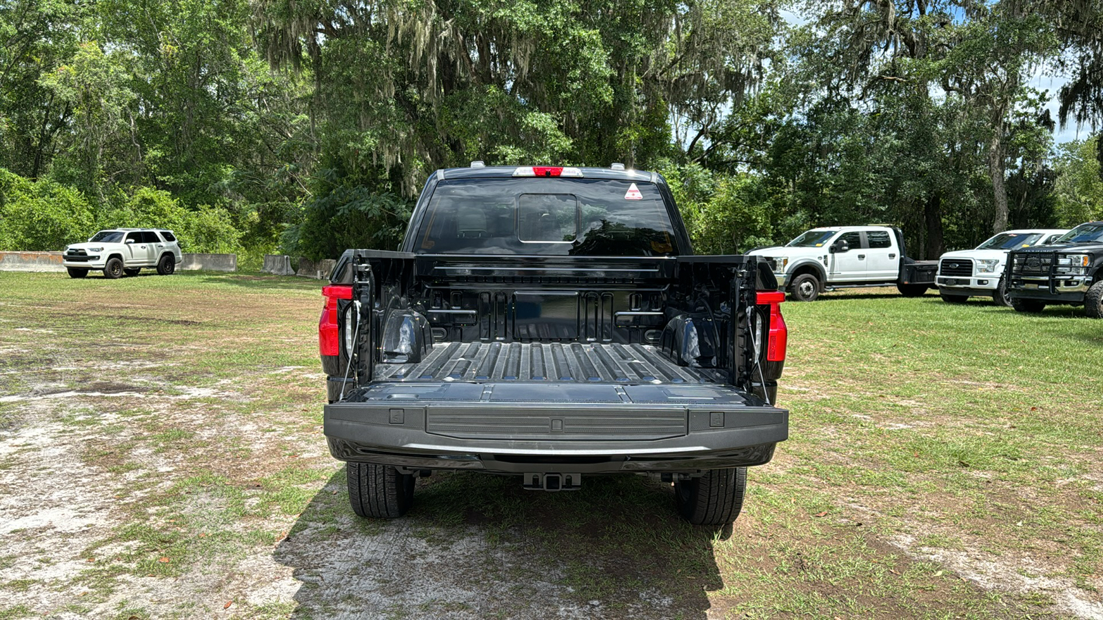 2024 Ford F-150 Lightning Platinum 6