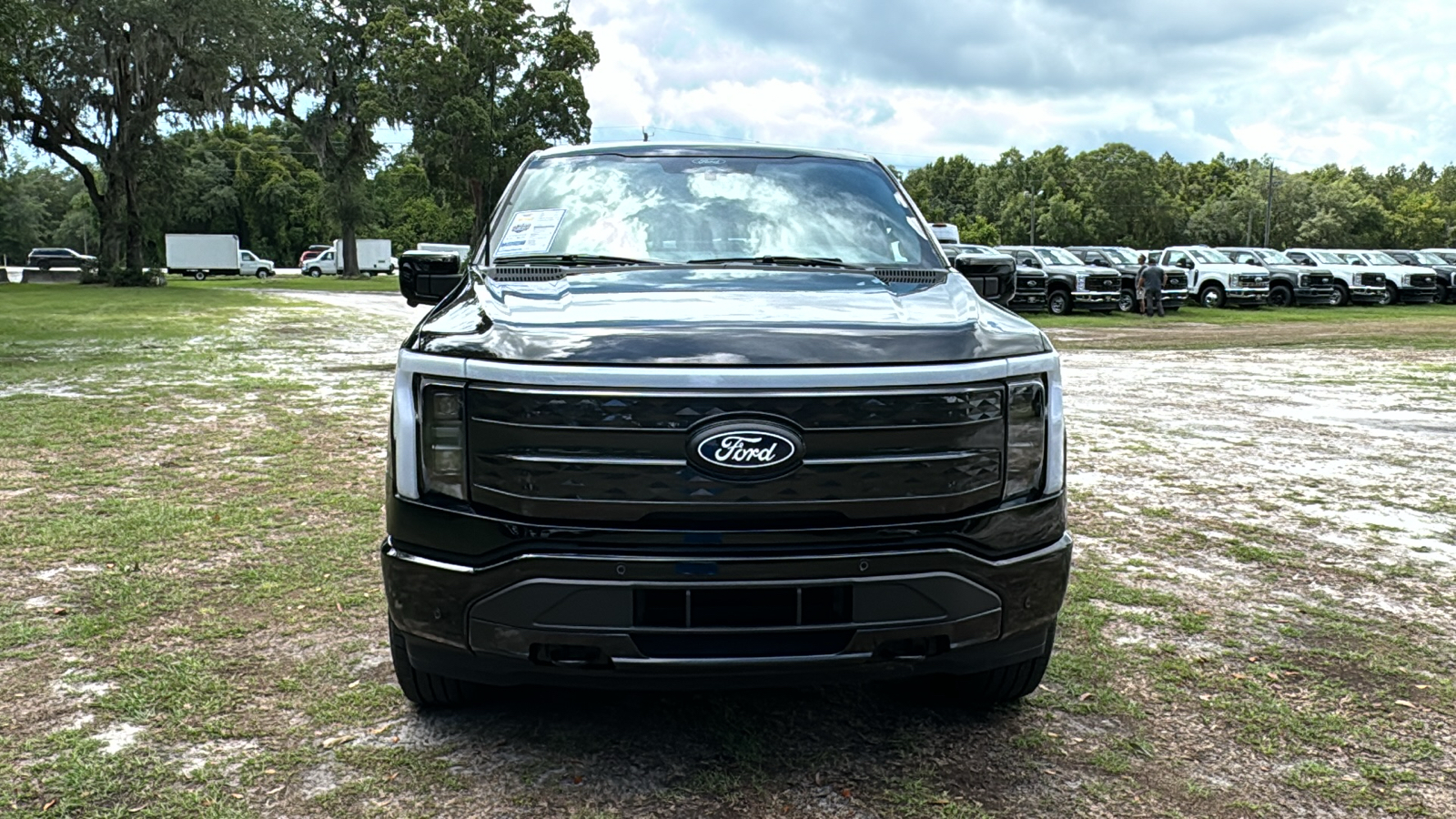 2024 Ford F-150 Lightning Platinum 12