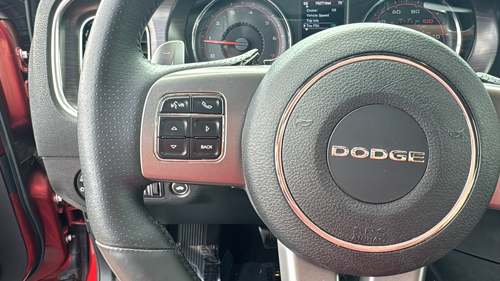 2014 Dodge Charger SXT 18
