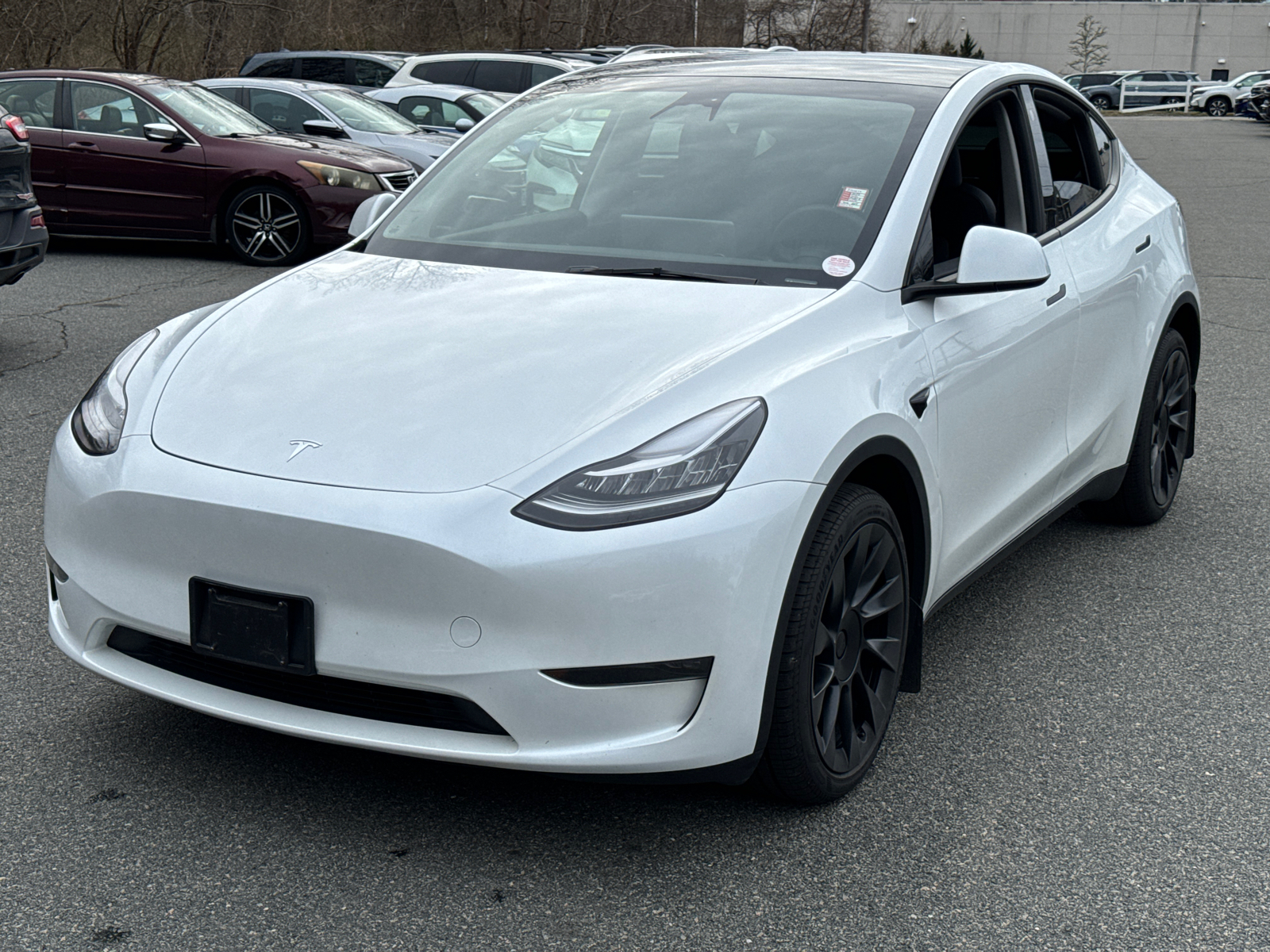 2023 Tesla Model Y  1