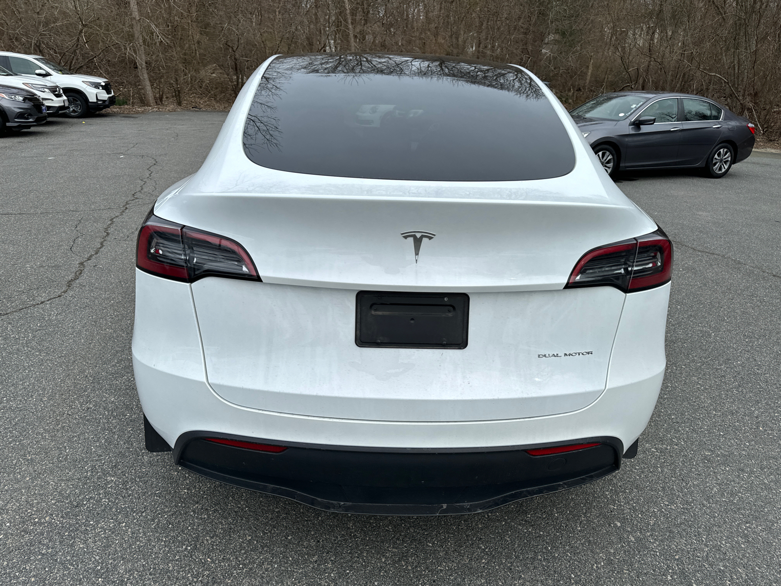 2023 Tesla Model Y  5