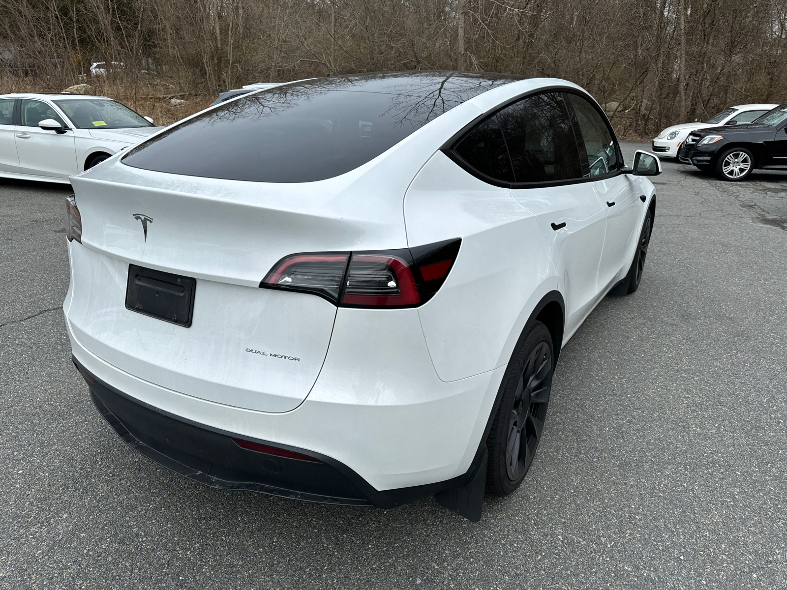 2023 Tesla Model Y  6