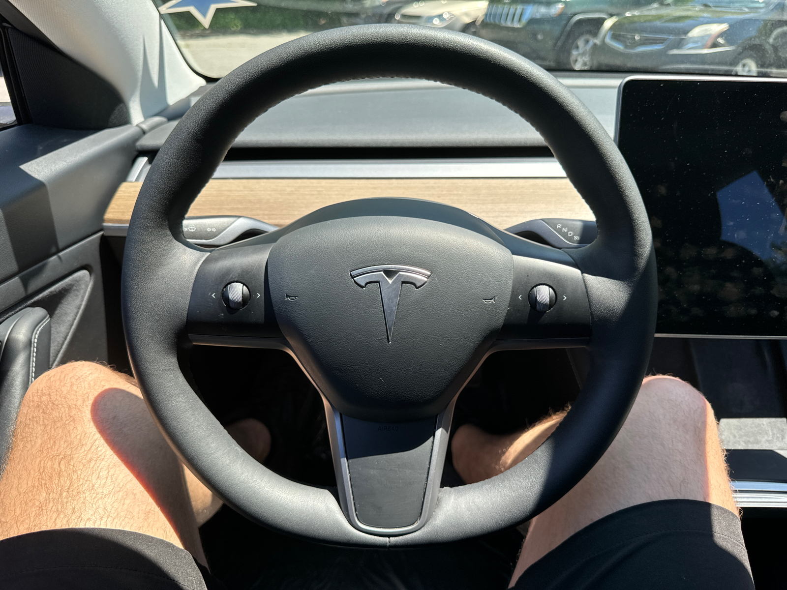 2021 Tesla Model 3 Standard Range Plus 17