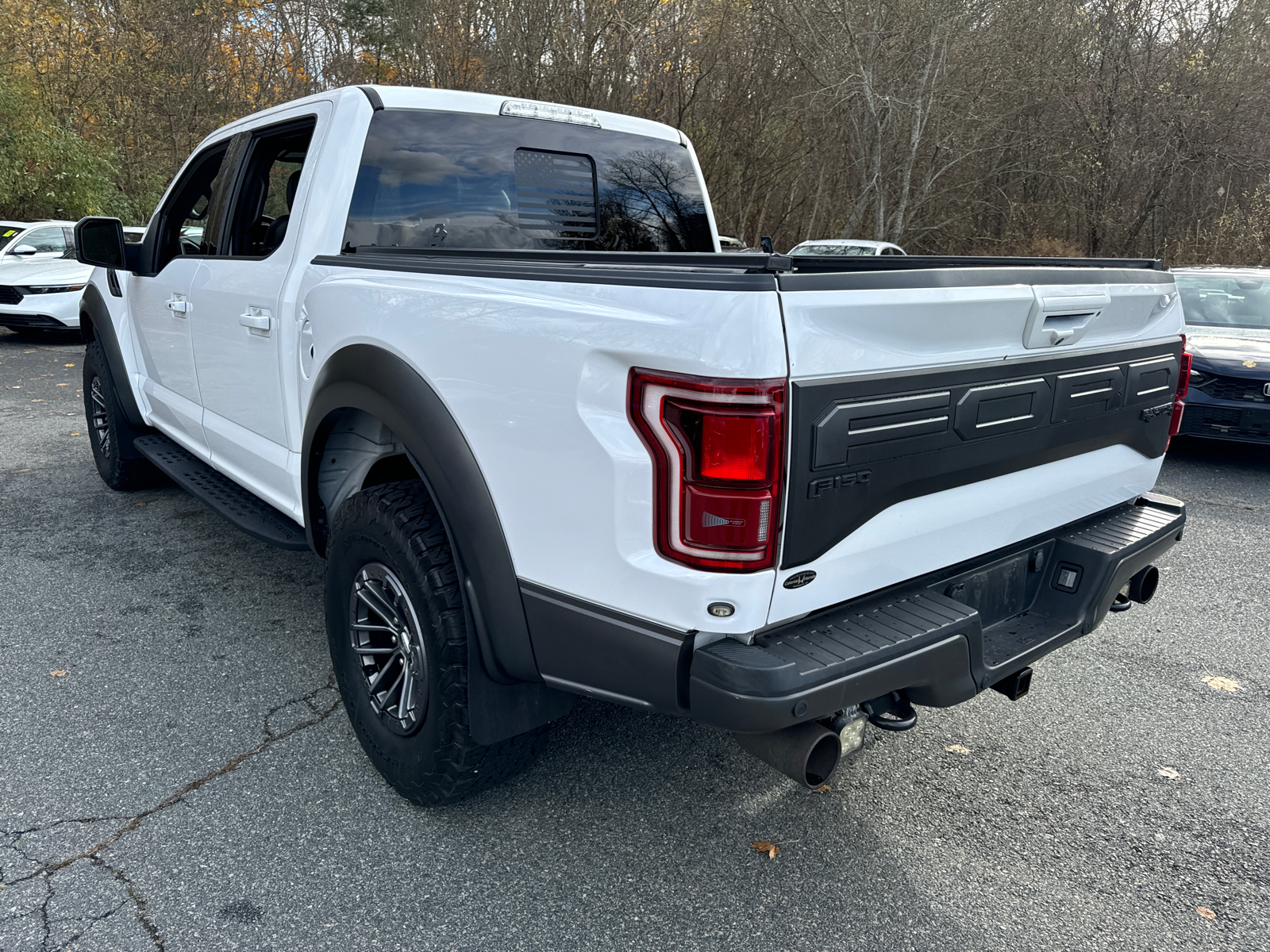 2019 Ford F-150 Raptor 4WD SuperCrew 5.5 Box 4