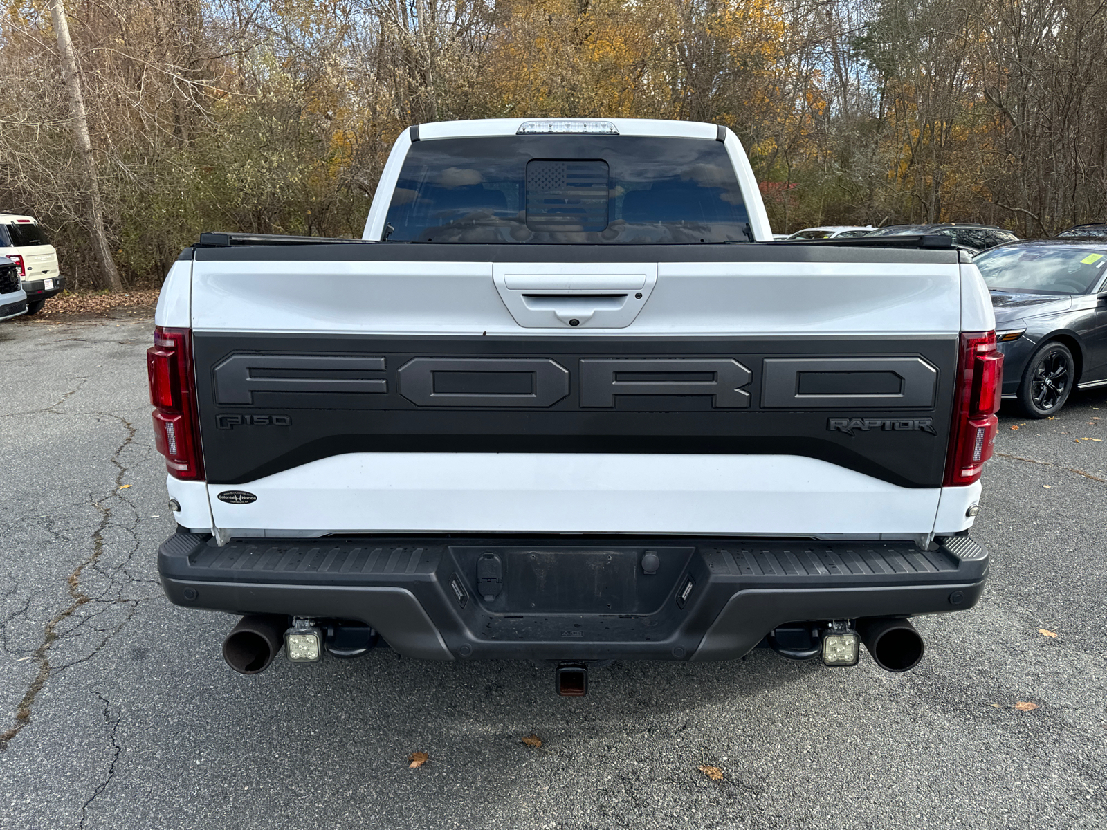 2019 Ford F-150 Raptor 4WD SuperCrew 5.5 Box 5