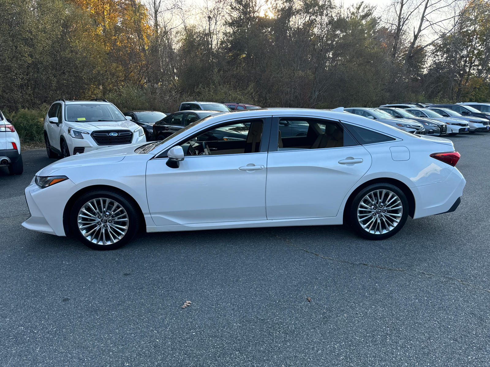 2019 Toyota Avalon Limited 3