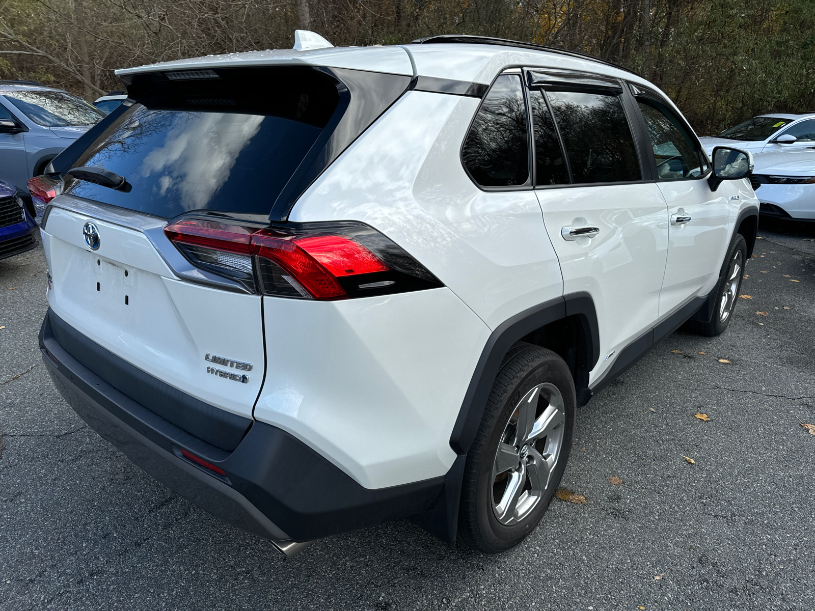 2019 Toyota RAV4 Hybrid Limited 6