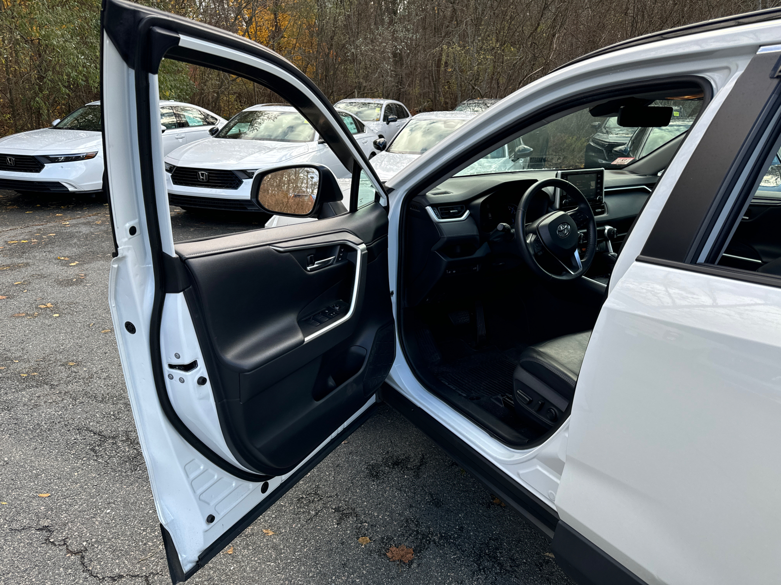 2019 Toyota RAV4 Hybrid Limited 12