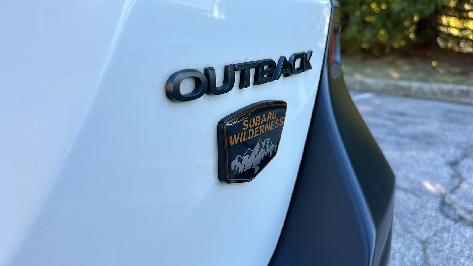 2023 Subaru Outback Wilderness 10