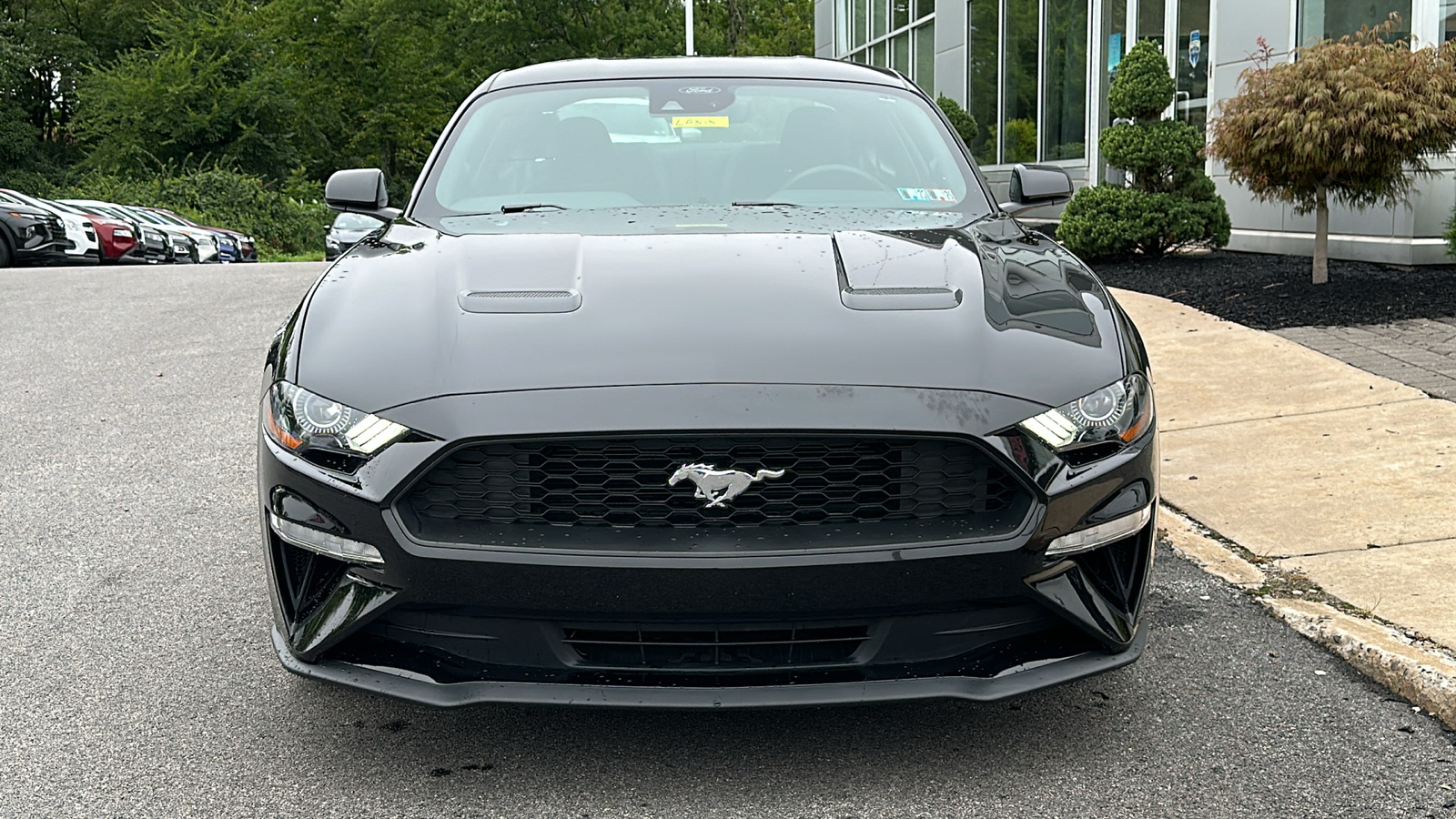 2021 Ford Mustang EcoBoost 3