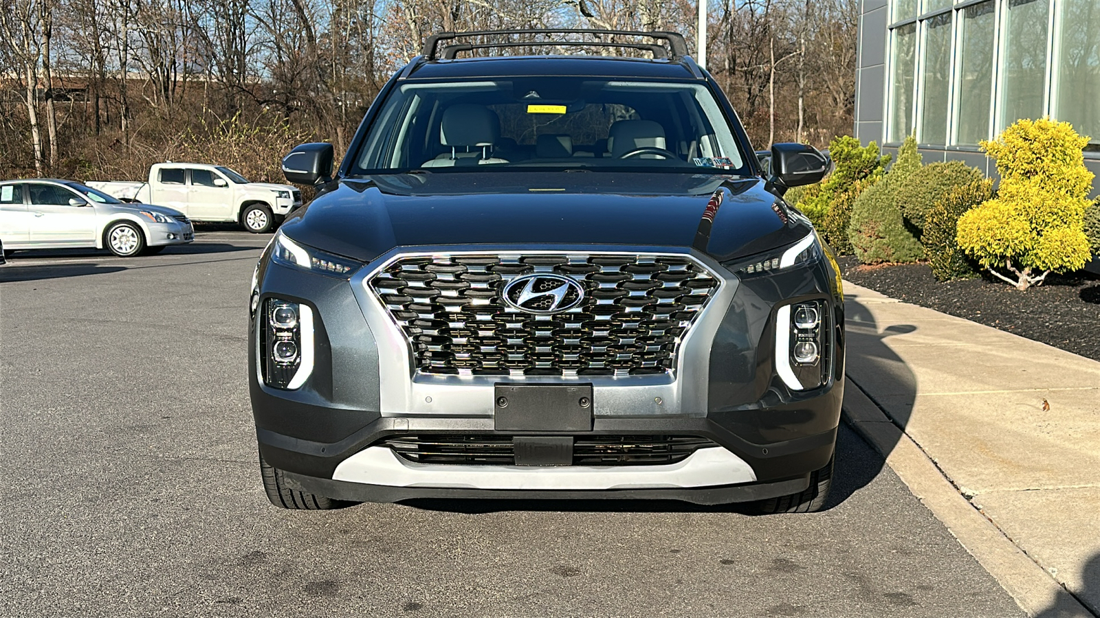 2020 Hyundai Palisade SEL 3