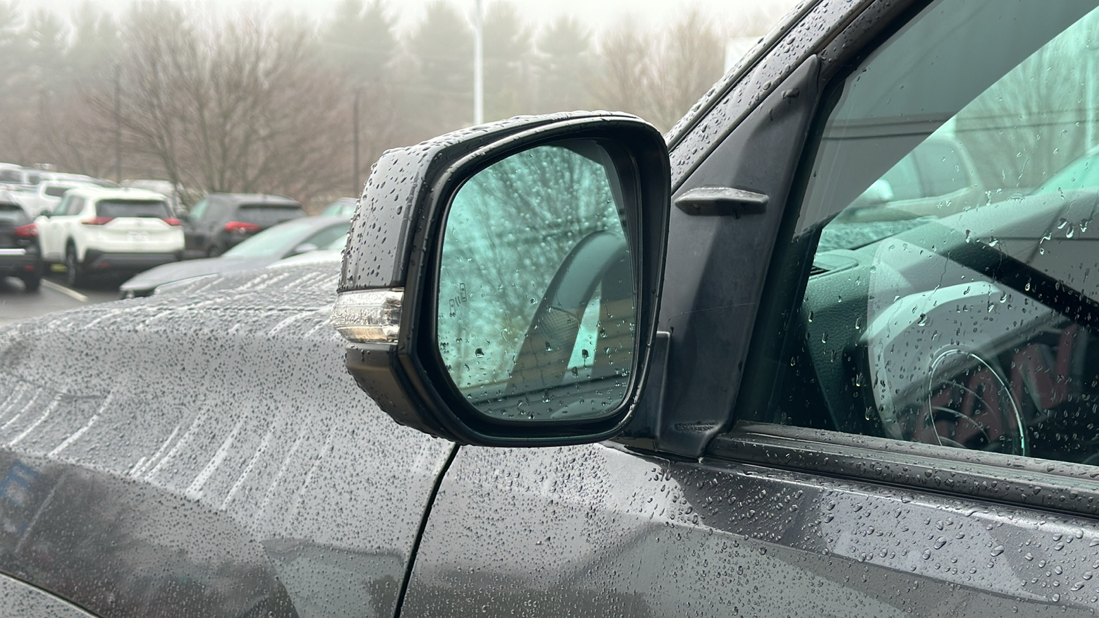 2020 Toyota Tacoma 4WD TRD Off-Road 12