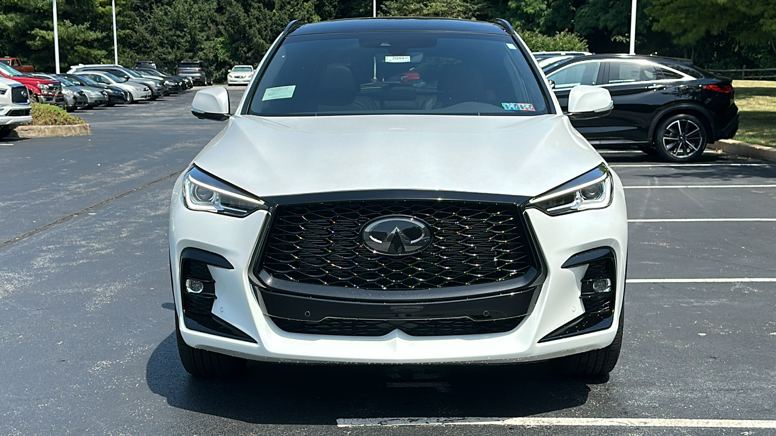 2024 INFINITI QX50 SPORT 3