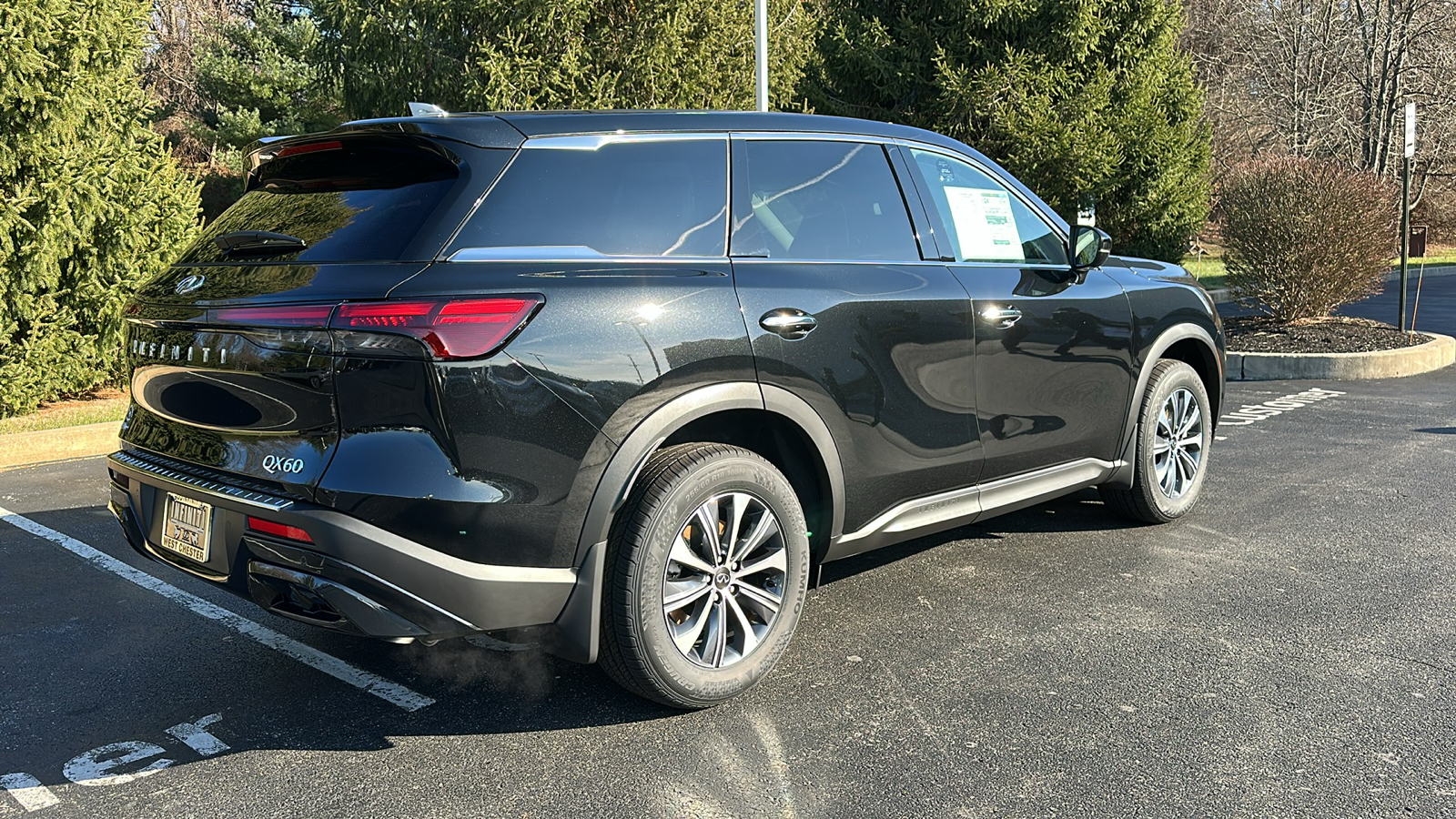 2025 INFINITI QX60 PURE 5