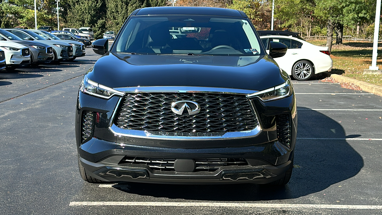 2025 INFINITI QX60 PURE 3