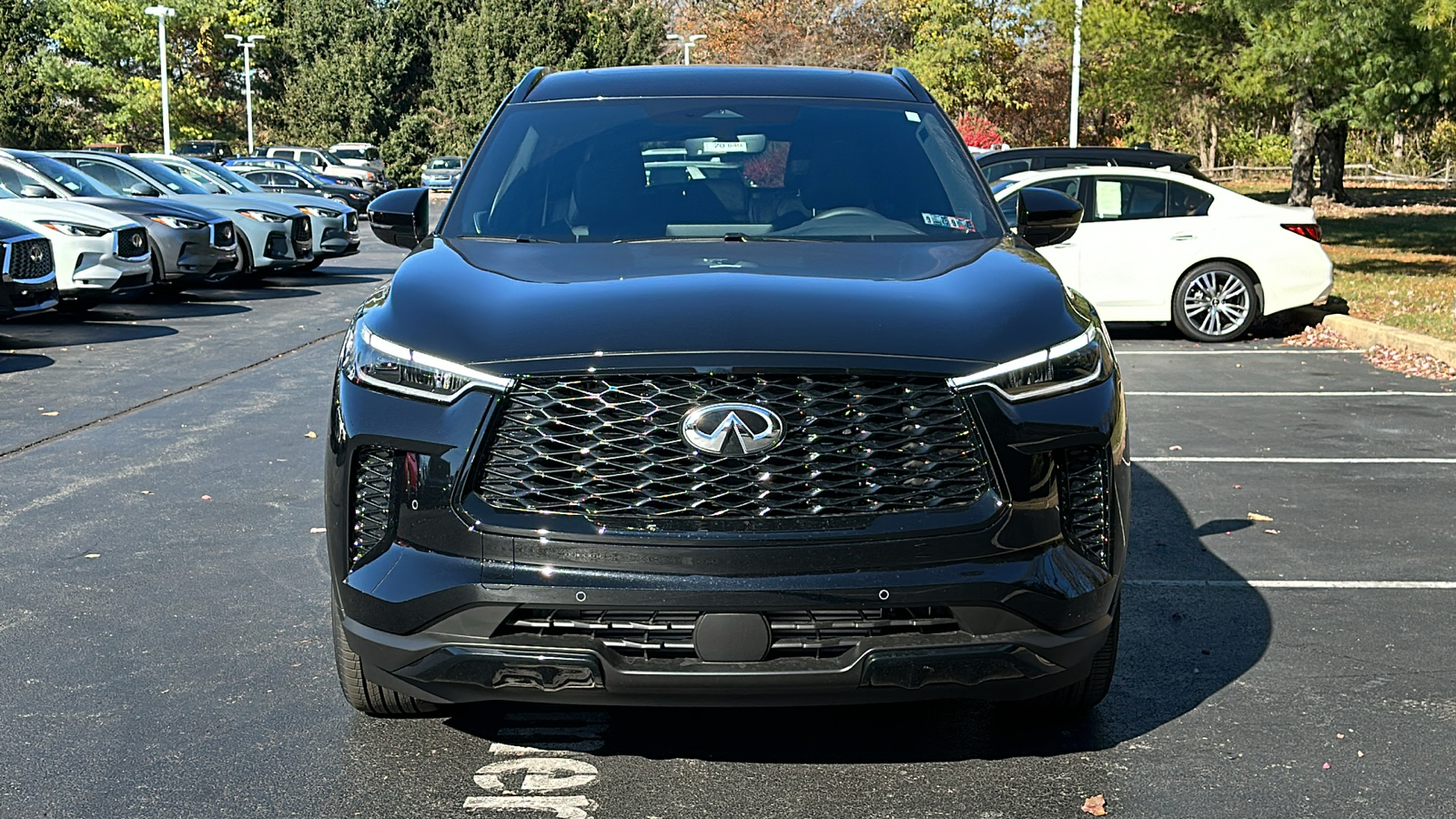 2025 INFINITI QX60 LUXE 3