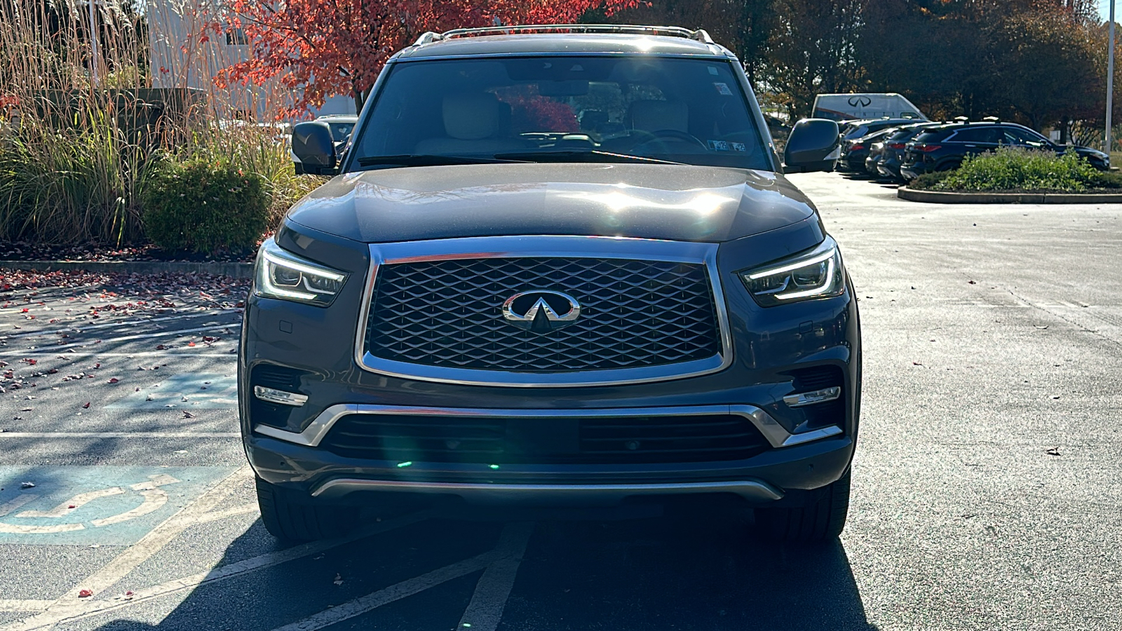 2019 INFINITI QX80 LIMITED 3