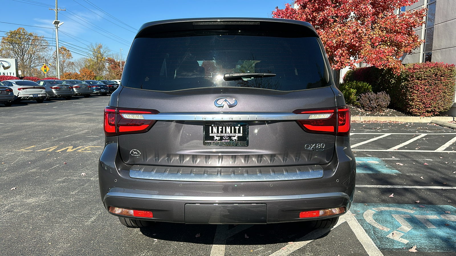 2019 INFINITI QX80 LIMITED 6