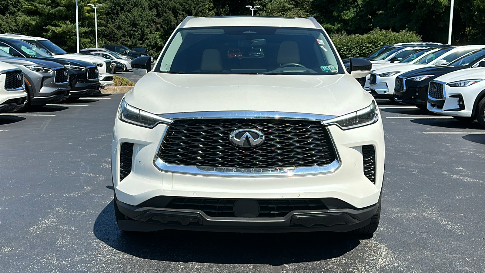 2023 INFINITI QX60 LUXE 3