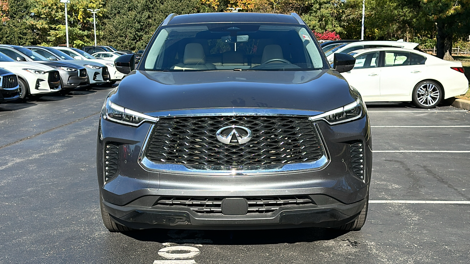 2024 INFINITI QX60 LUXE 3