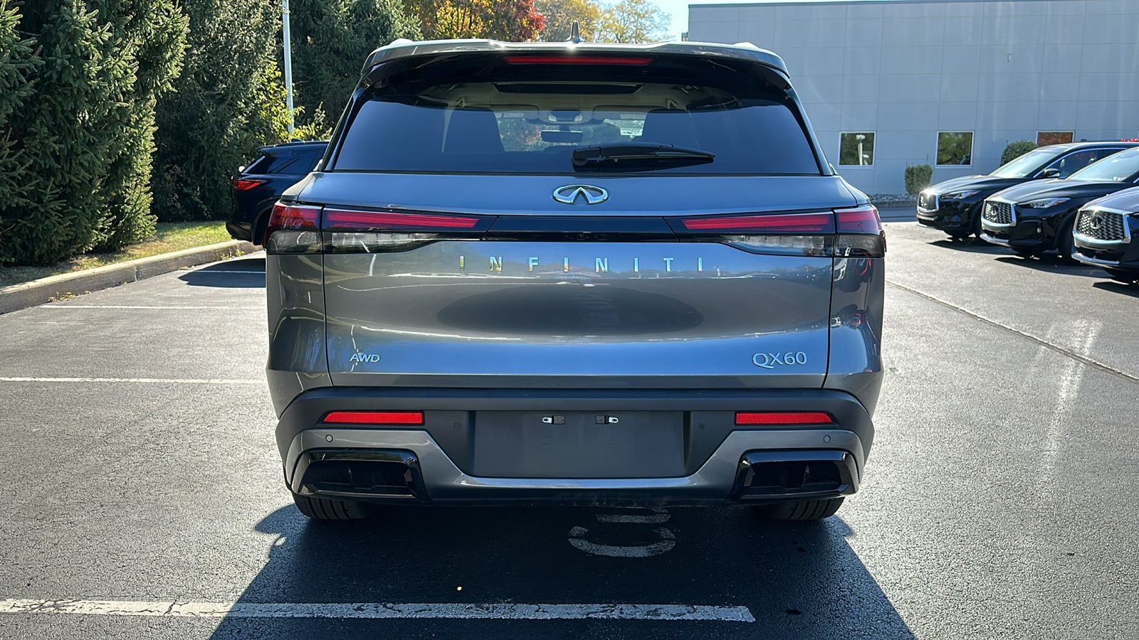 2024 INFINITI QX60 LUXE 5