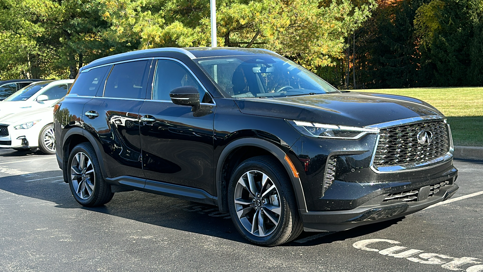 2024 INFINITI QX60 LUXE 2