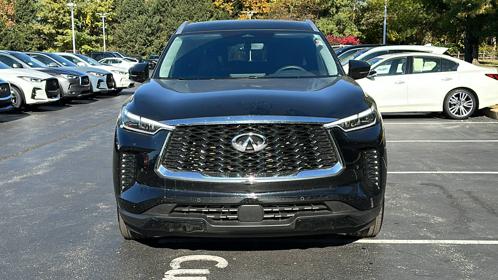 2024 INFINITI QX60 LUXE 3