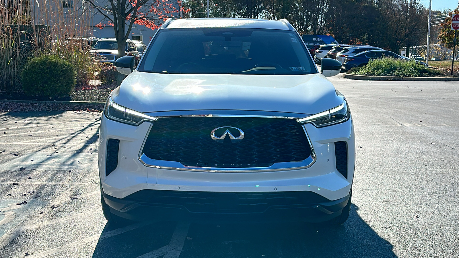 2024 INFINITI QX60 LUXE 3