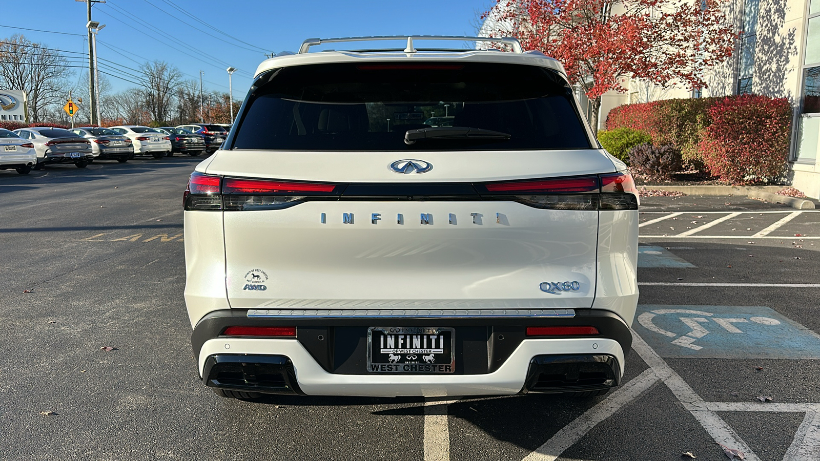 2024 INFINITI QX60 LUXE 5