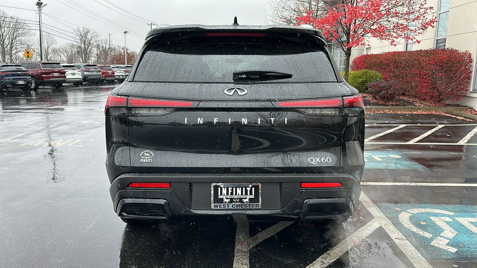 2024 INFINITI QX60 LUXE 5