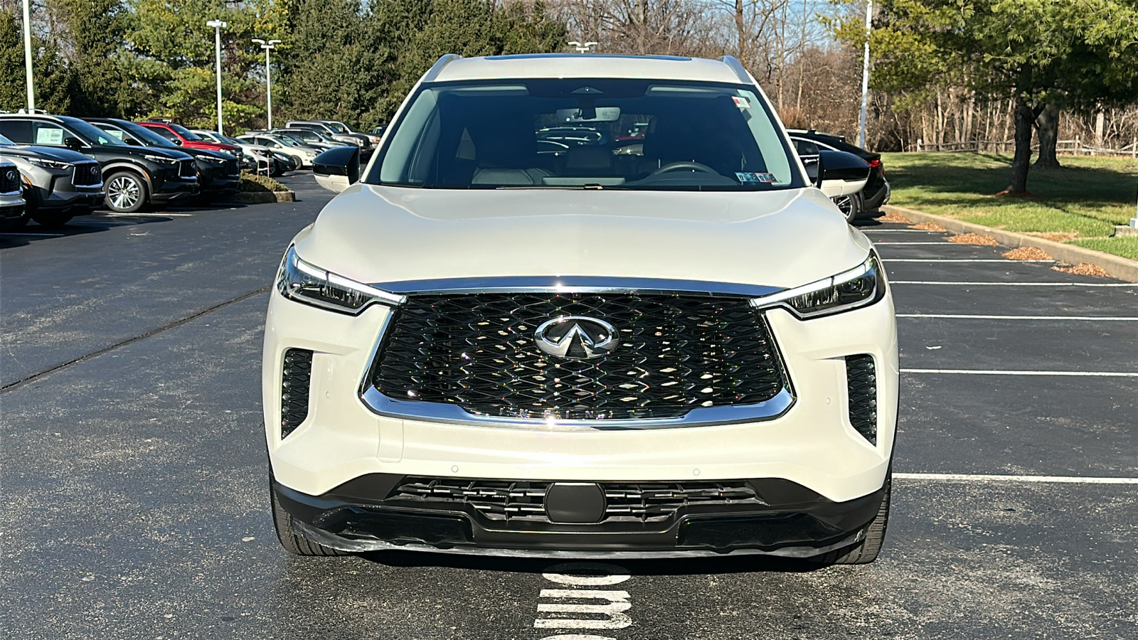 2023 INFINITI QX60 LUXE 3